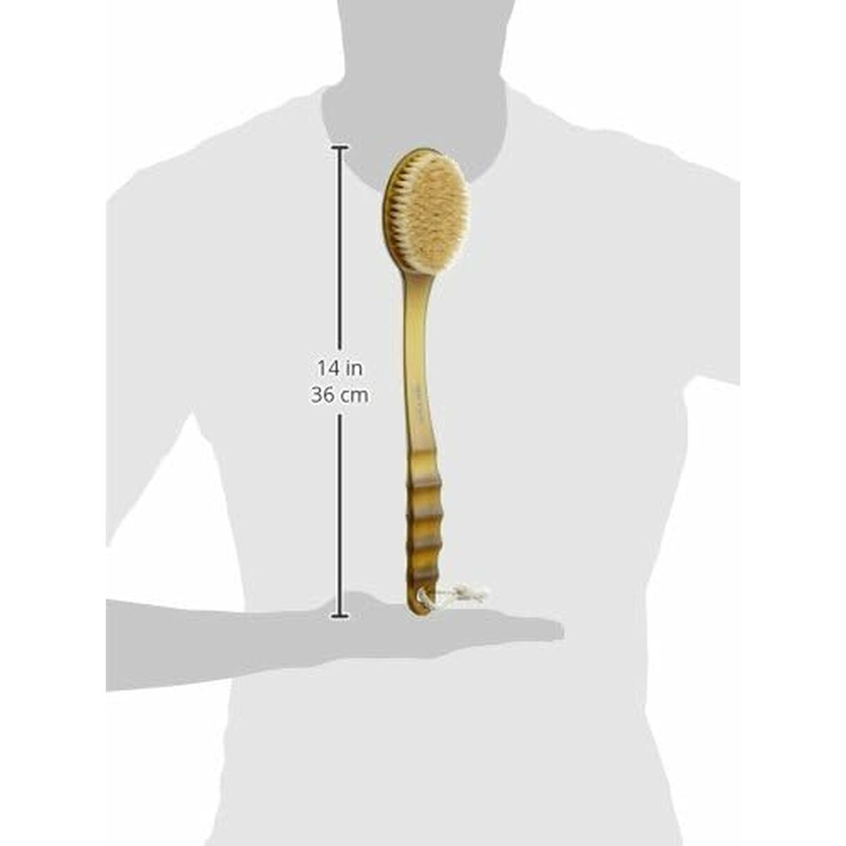 V12H3821F3C59C8670288F3F21A6B228636FR3623694P3