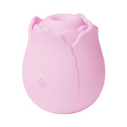 V2H49B2BDE89380E2F22AC4476556540A2CR7601603P1