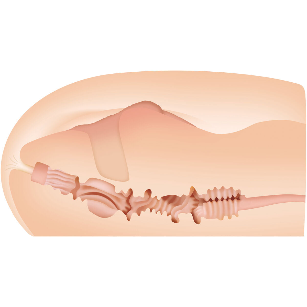 V6H4702F9DB2D700A319F06912E07599542R4903322P2