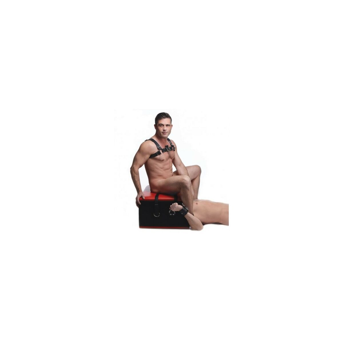 V4H038D347CE49D3BBA1D17C41F302D07CDR4680109P6