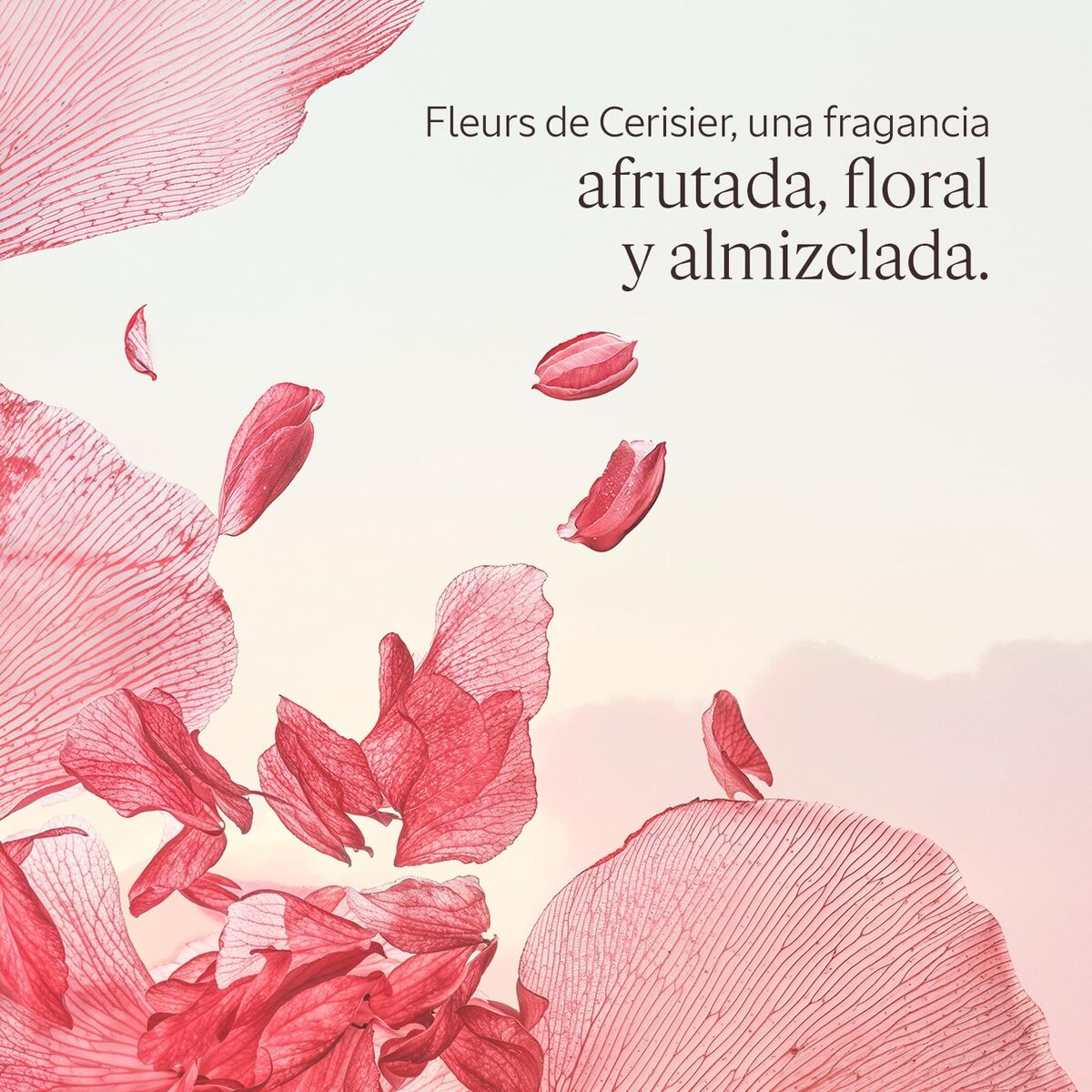 V2HE6BF647FC45E8DAFF69087E238D255F4R7407087P3