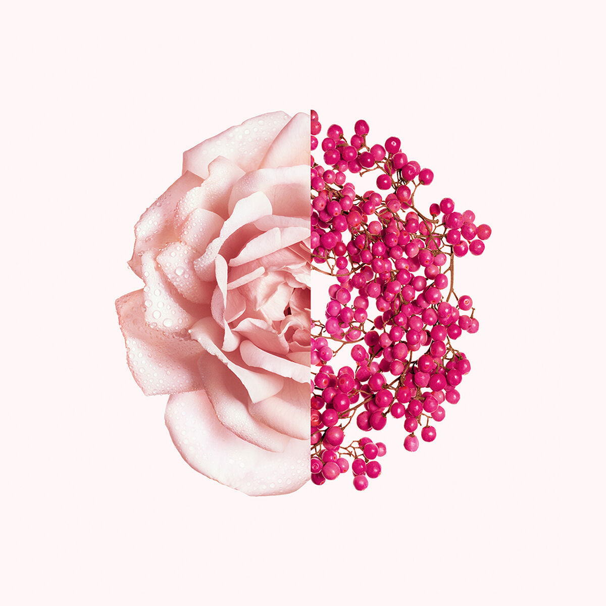 V3HAAC22B406C090608BE8CFC199168D959R6215014P3