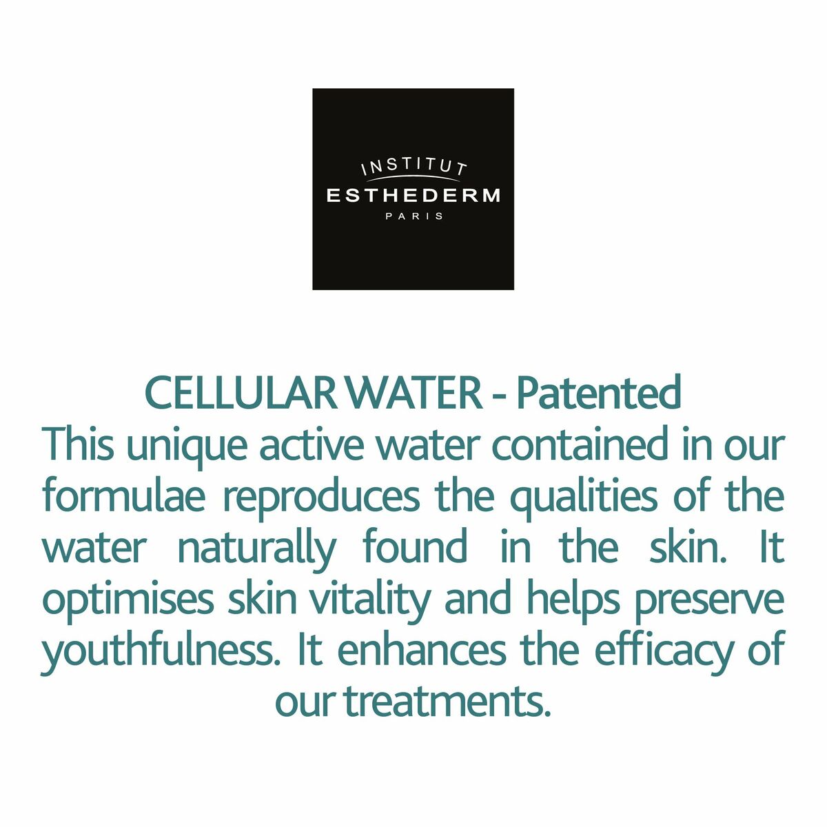 V2HE7B1699A3D674B0D79DB9F60CE109EFER7312647P7