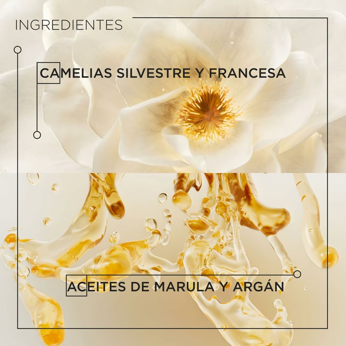 V5HA783B414DF672368C37D9335987C9173R5610723P4