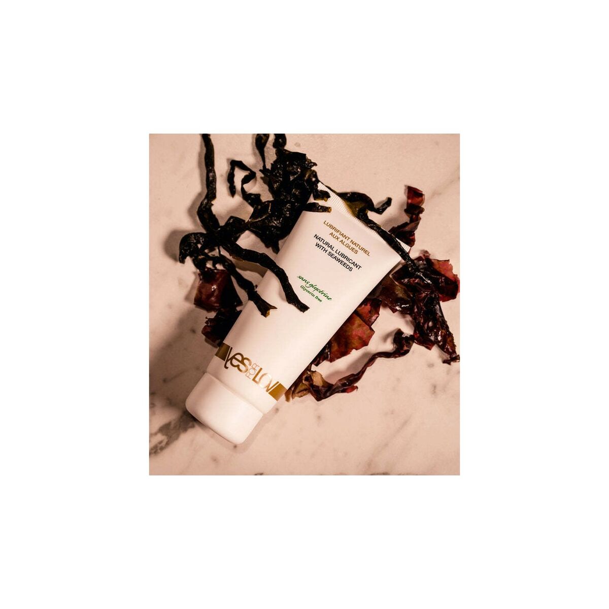 V4HC4FA66DC9D25616B365805043B31B6CFR4659443P3