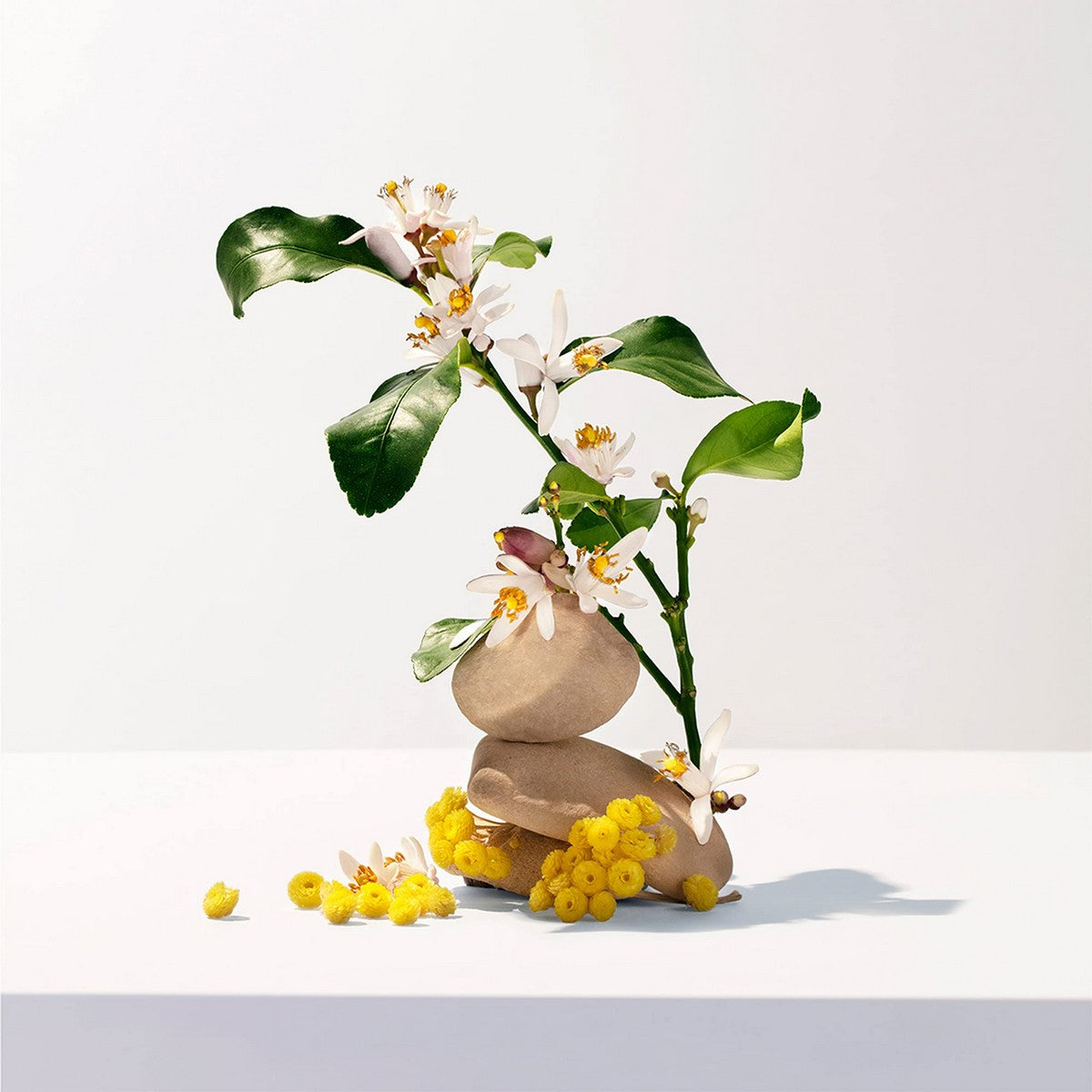 V10HED75214CB6F40A58C4E1BADDC13DB04AR3295177P2