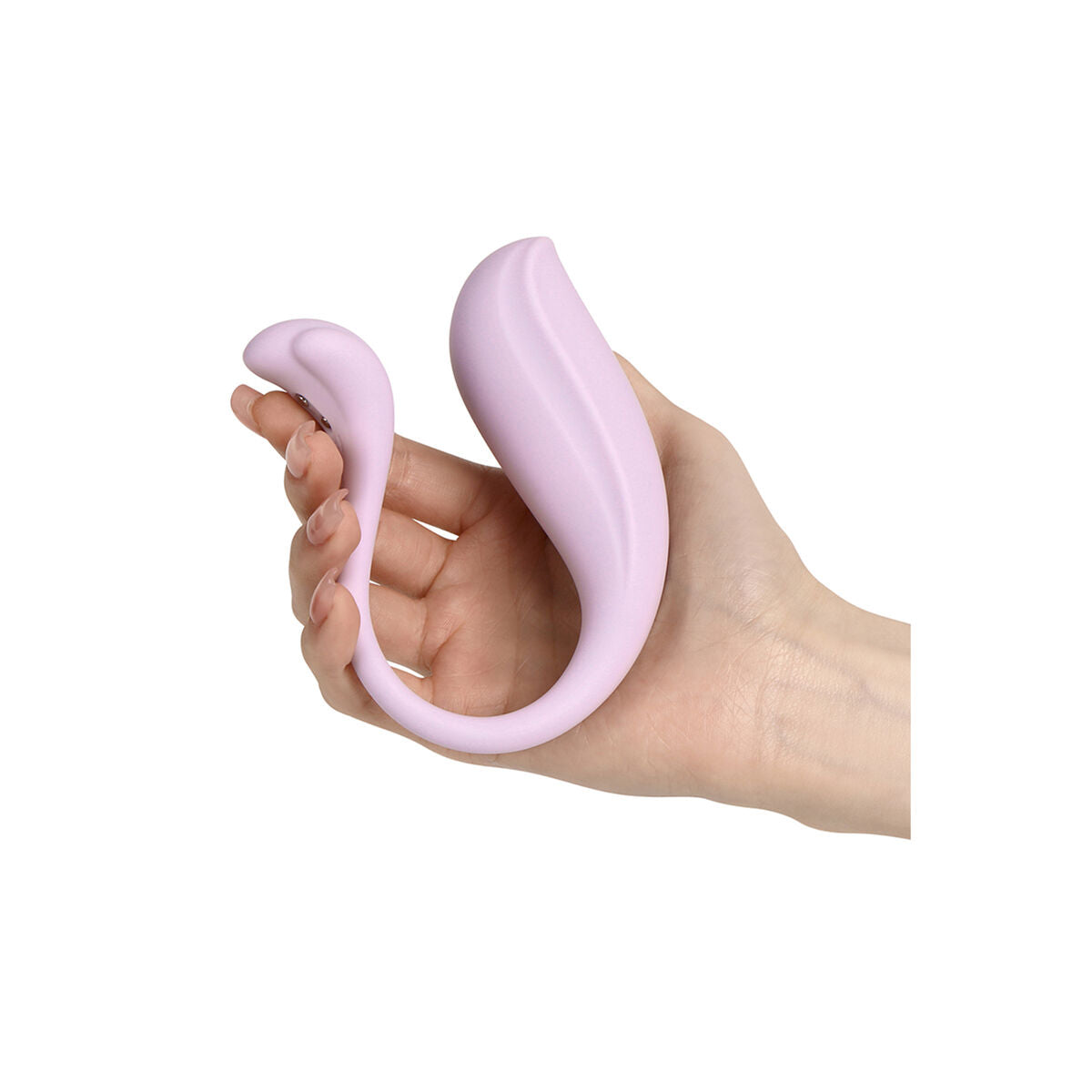 V2H7D7352BC2CE9D0484BCB8B3B7C1D3442R7394589P4