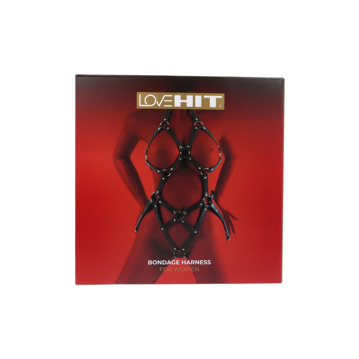 V5H19FB4367DC3DE533CC193EC450A0A1CAR5569268P1